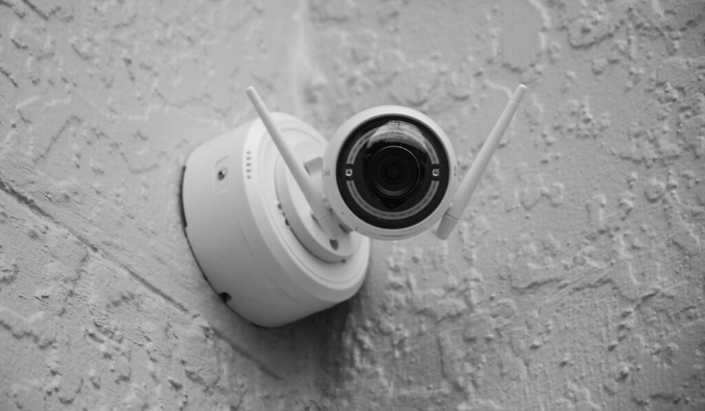 FOR A SUCCESSFUL DAY OF SURVEILLANCE